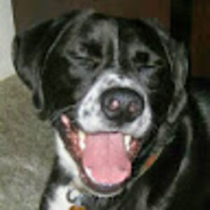 Meet your Posher, Bryan